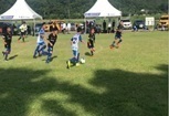 2019 화랑대기 전국유소년축구대회 성황리에 마무리