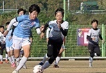 화랑대기 전국유소년축구대회 개최